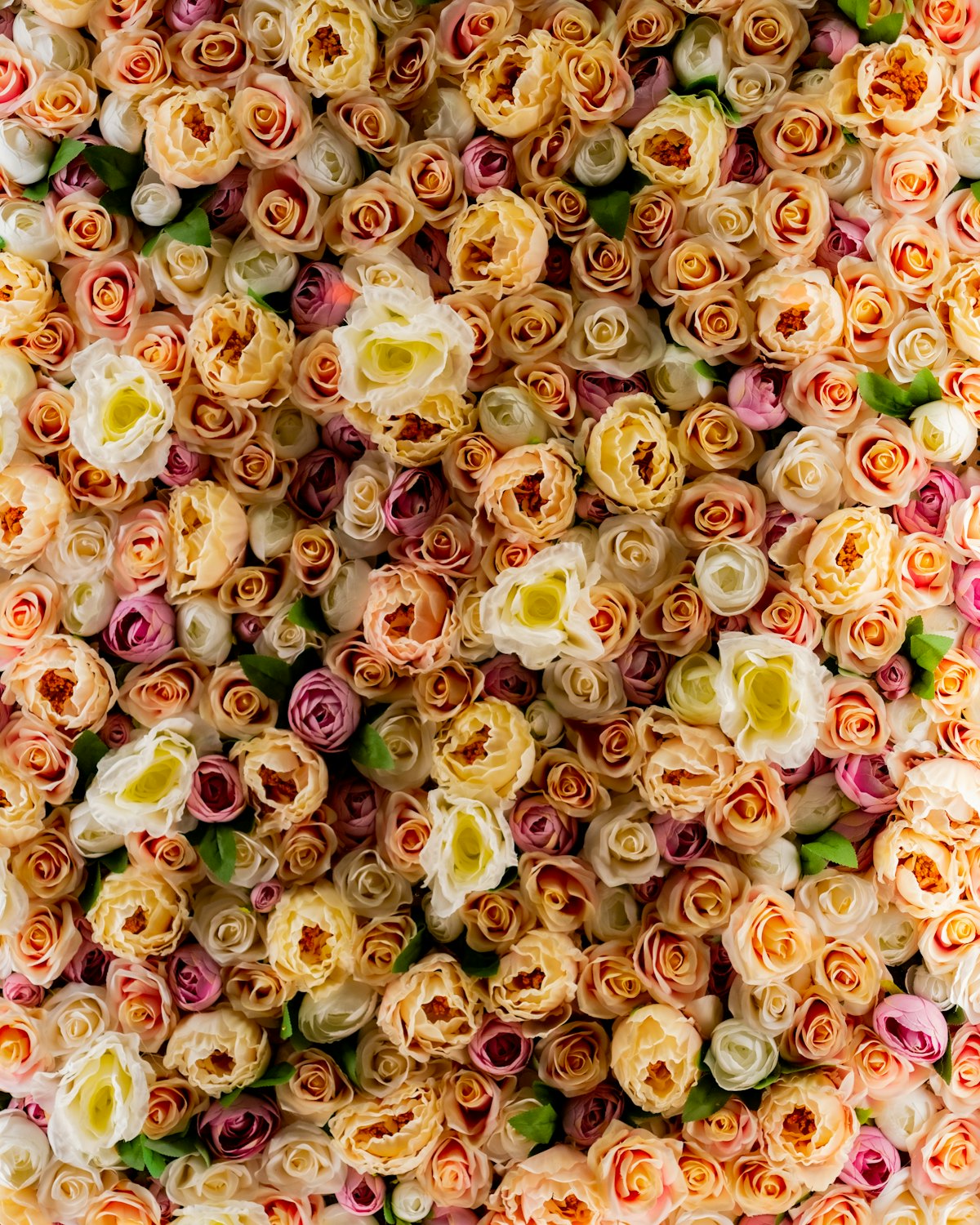 Pared cubierta de rosas pequeñas en tonos pastel